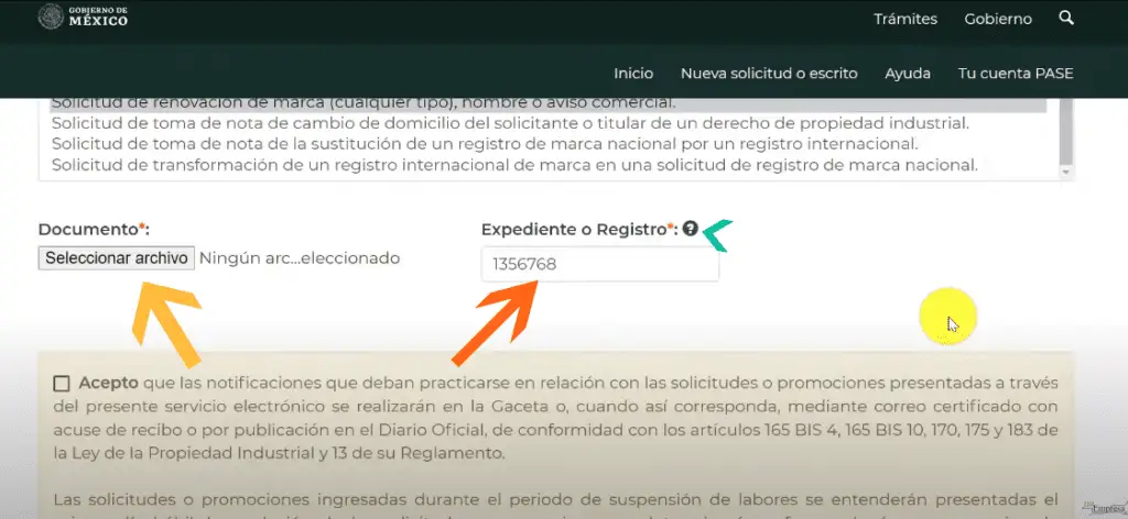 Renovación de nombre comercial en el IMPI: guía paso a paso
